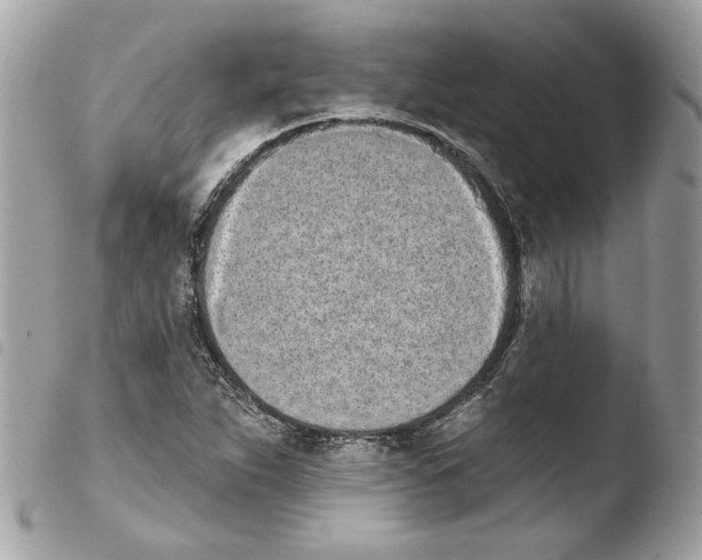 X0000103931263200810171743