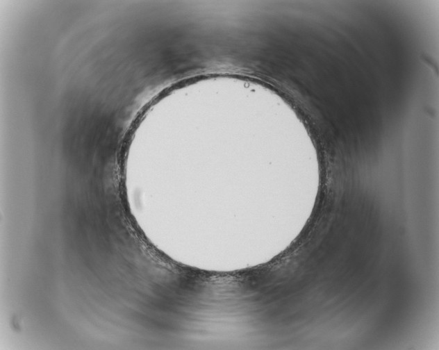 X0000103931264200810171743