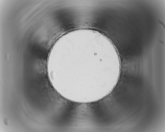 X0000103931265200810171743