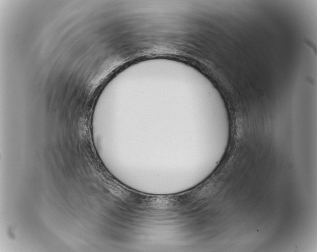 X0000103931266200810171743