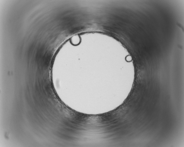 X0000103931268200810171743