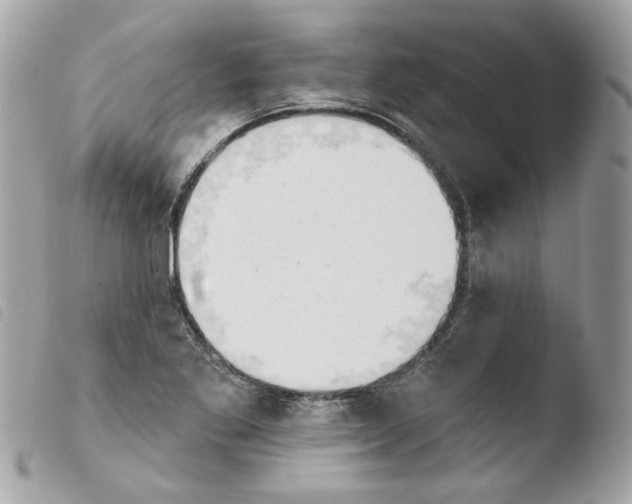 X0000103931269200810171743