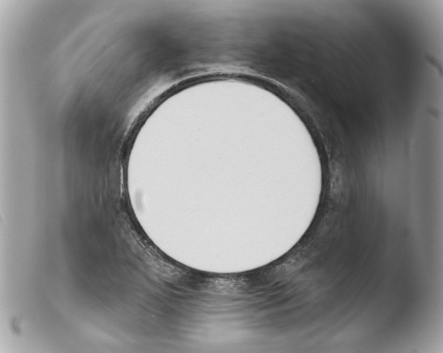 X0000103931271200810171743