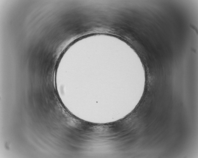 X0000103931272200810171743