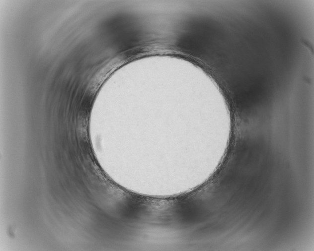 X0000103931273200810171743