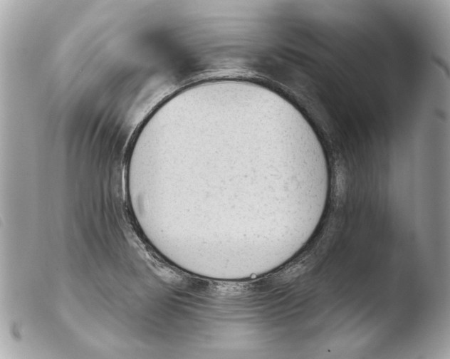 X0000103931274200810171743