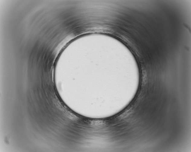 X0000103931275200810171743