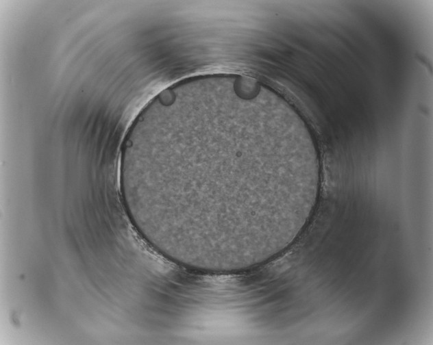 X0000103931276200810171743