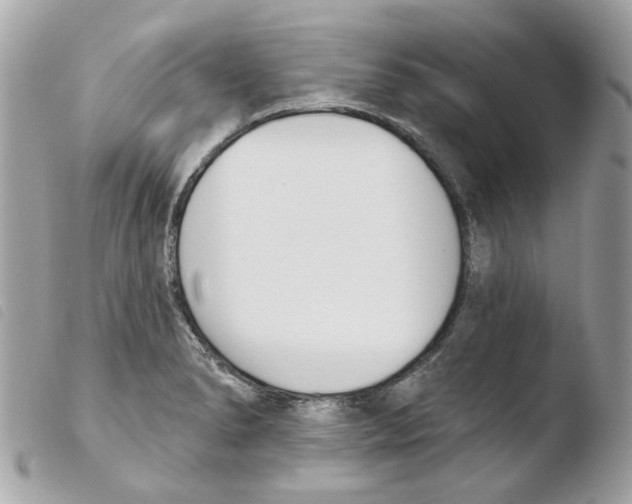 X0000103931278200810171743