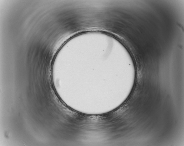 X0000103931279200810171743