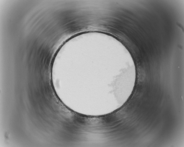 X0000103931280200810171743