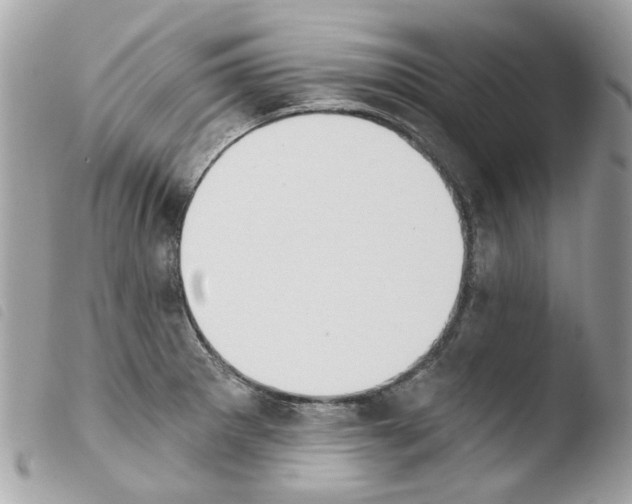 X0000103931281200810171743