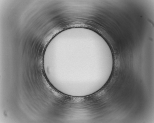 X0000103931282200810171743