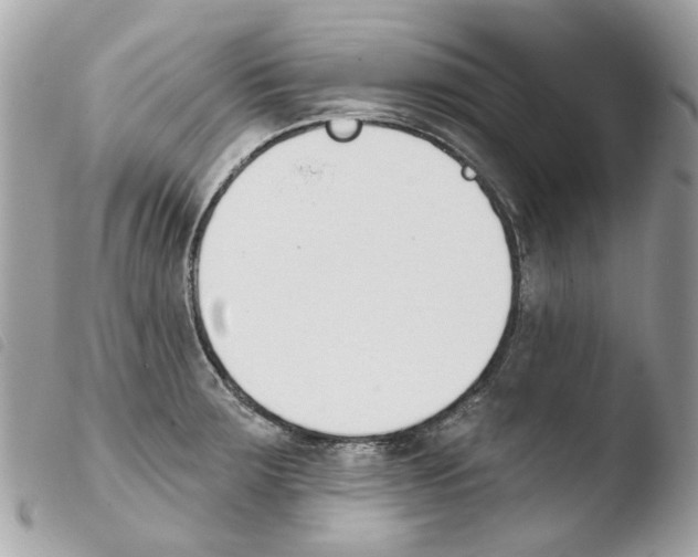 X0000103931283200810171743