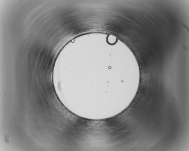 X0000103931284200810171743