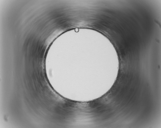 X0000103931285200810171743