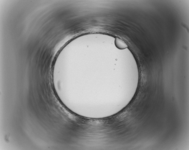 X0000103931286200810171743