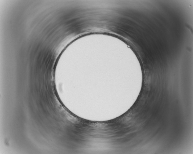 X0000103931287200810171743