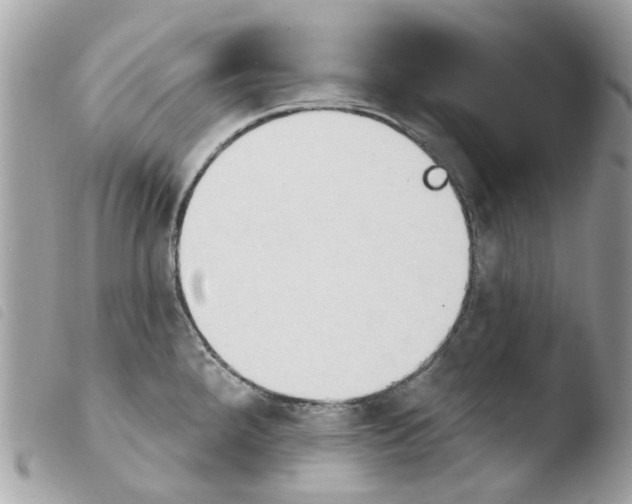 X0000103931288200810171743