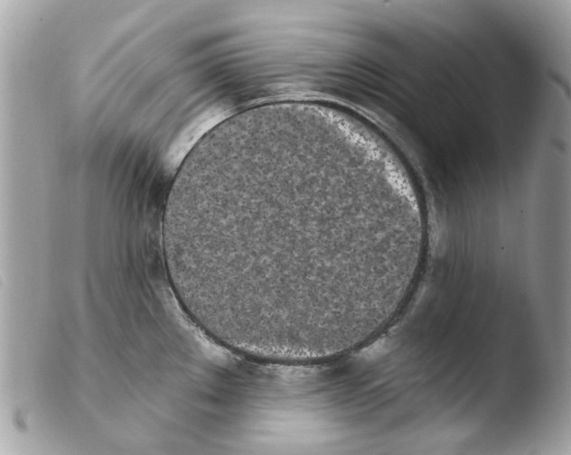 X0000103931289200810171743