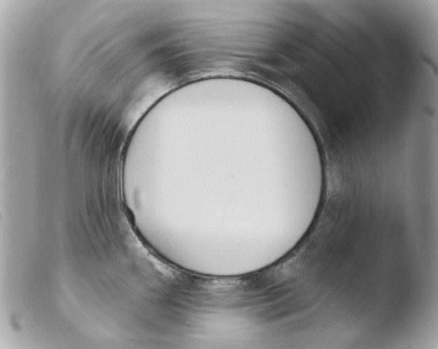 X0000103931290200810171743