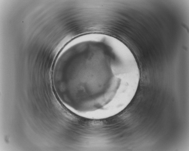 X0000103931291200810171742