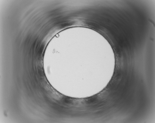 X0000103931292200810171742