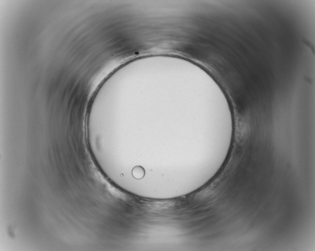 X0000103931294200810171742