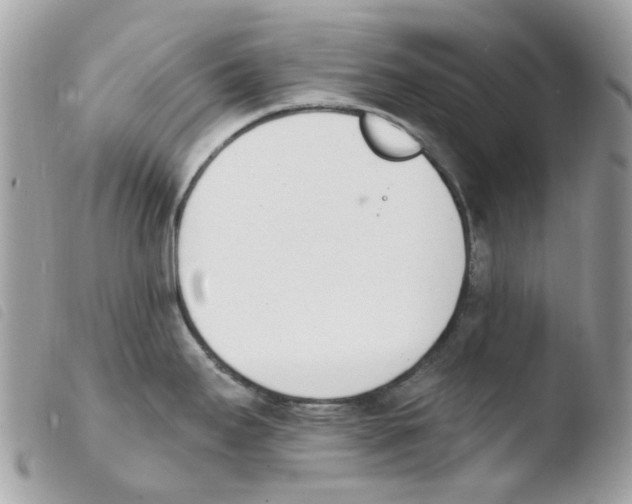 X0000103931295200810171742