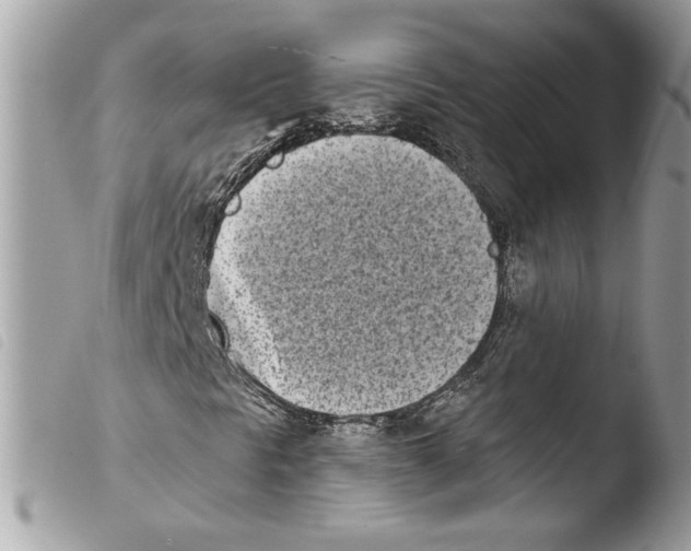 X0000103931297200810171742