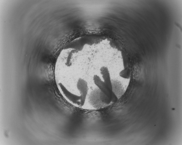 X0000103931298200810171742