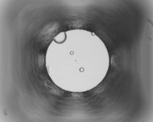 X0000103931299200810171742