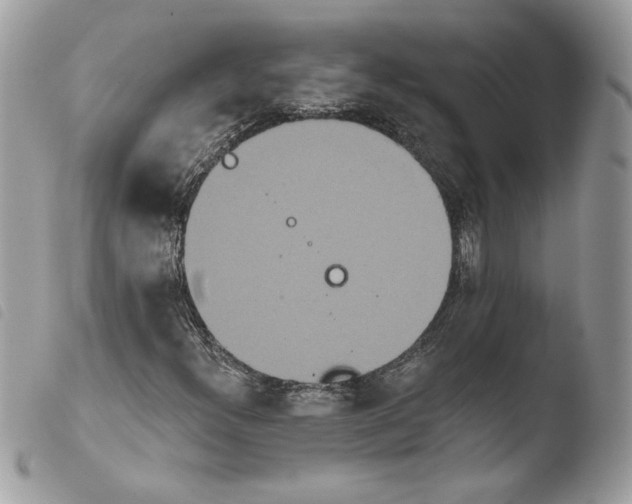 X0000103931300200810171742