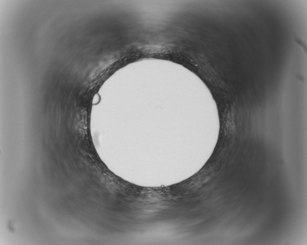 X0000103931301200810171742