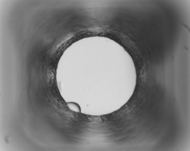 X0000103931302200810171742