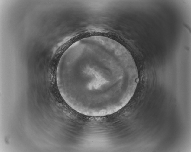 X0000103931303200810171742