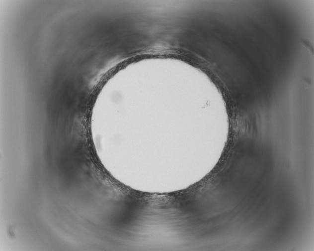 X0000103931304200810171742