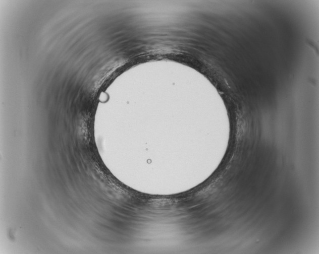 X0000103931305200810171742