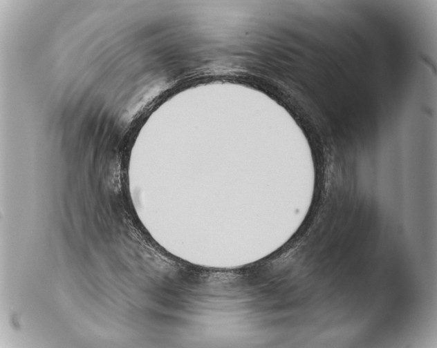 X0000103931306200810171742