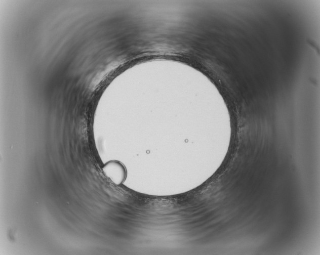 X0000103931307200810171742