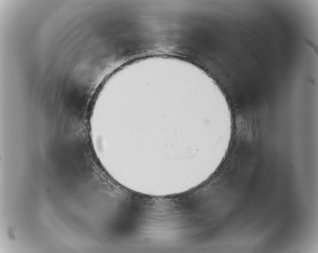 X0000103931308200810171742