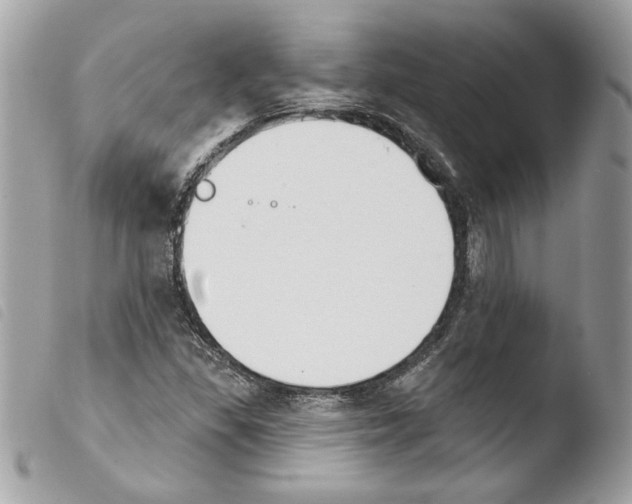 X0000103931309200810171742