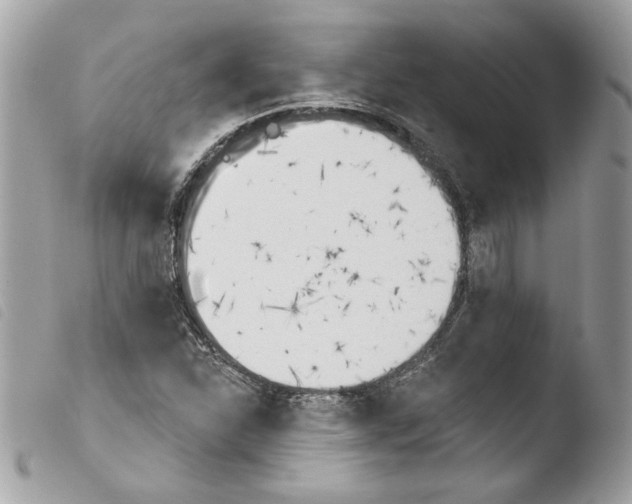 X0000103931310200810171742