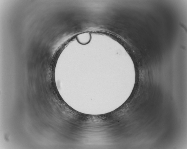 X0000103931311200810171742