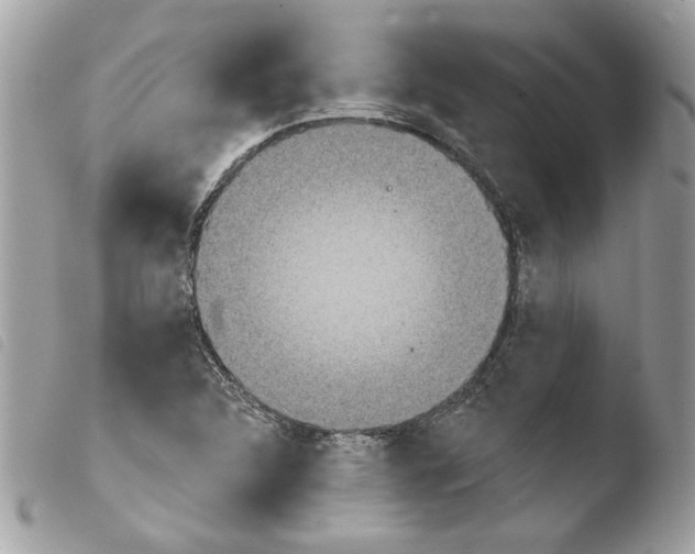 X0000103931312200810171742