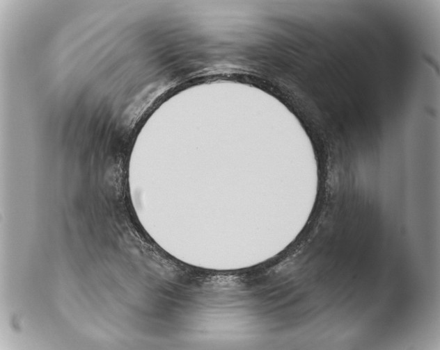 X0000103931313200810171742