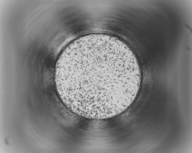 X0000103931314200810171742