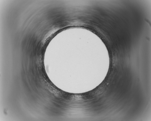 X0000103931315200810171742