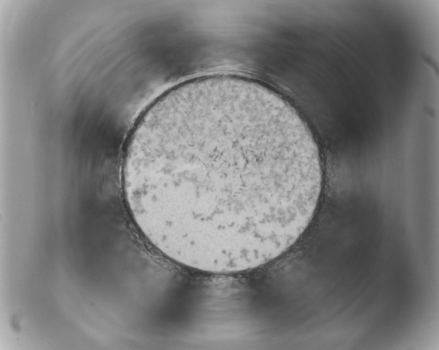 X0000103931316200810171742