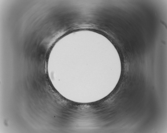 X0000103931317200810171742